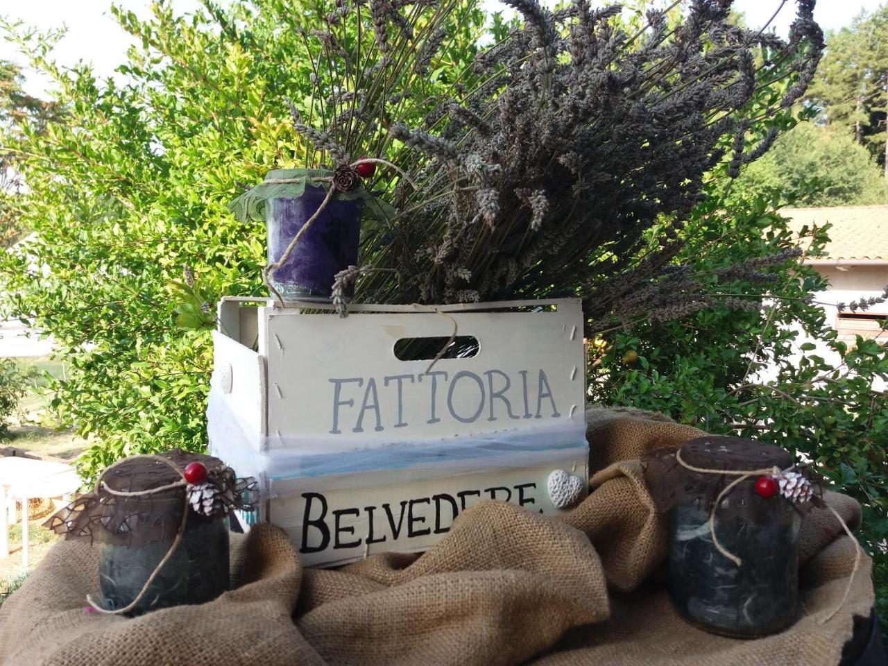 Fattoria Belvedere Сан-Лаццаро-ді-Савена Екстер'єр фото